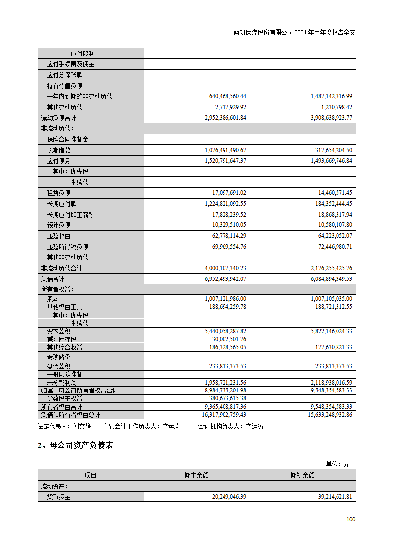 尊龙凯时股份有限公司2024年半年度报告_100