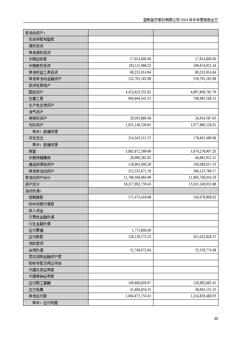 尊龙凯时股份有限公司2024年半年度报告_99