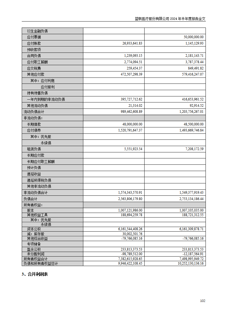 尊龙凯时股份有限公司2024年半年度报告_102